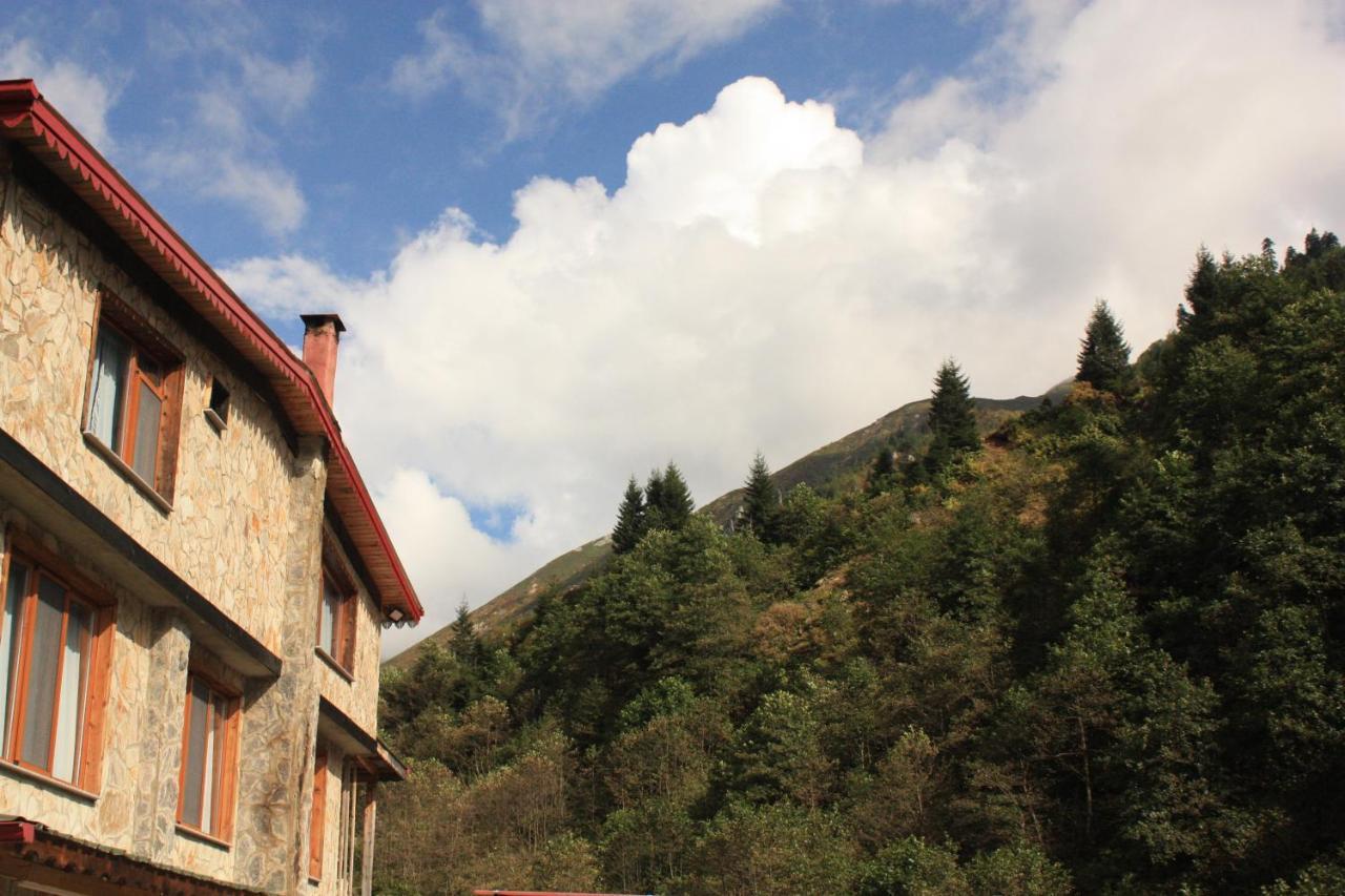 Serinyer Dag Evi Ayder Yaylasi Buitenkant foto