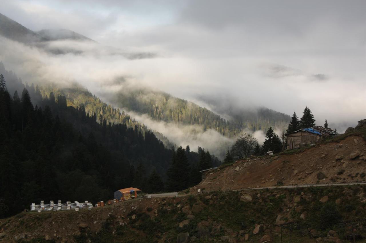 Serinyer Dag Evi Ayder Yaylasi Buitenkant foto
