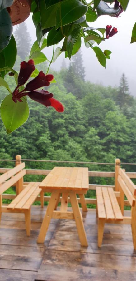 Serinyer Dag Evi Ayder Yaylasi Buitenkant foto