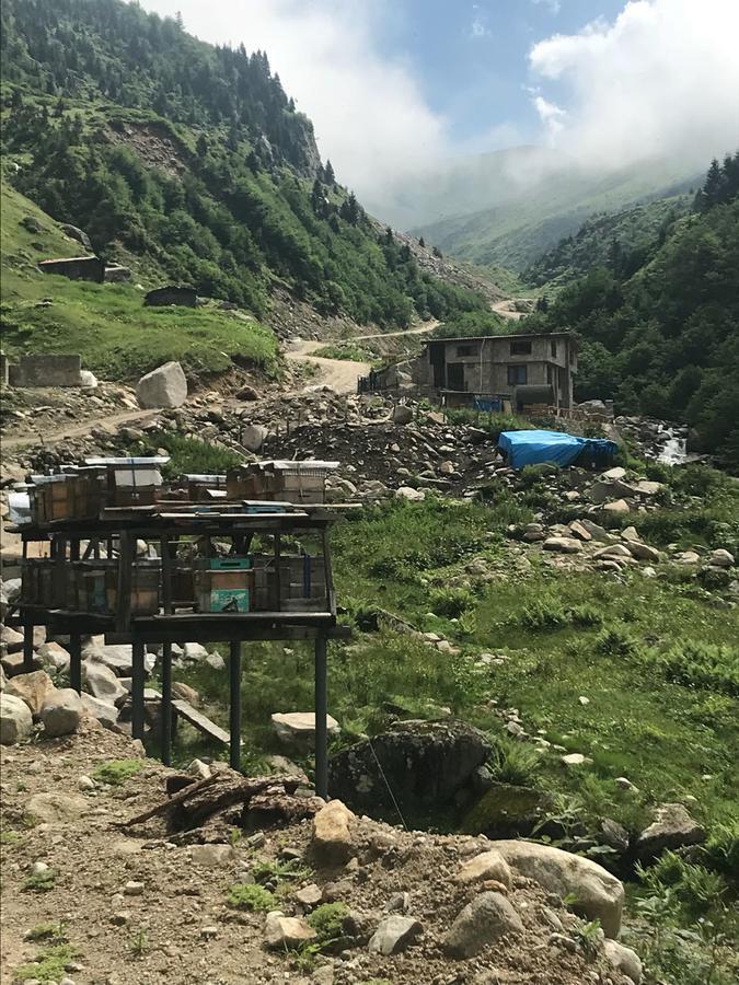 Serinyer Dag Evi Ayder Yaylasi Buitenkant foto